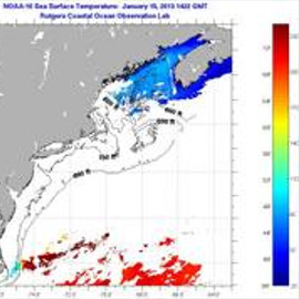 Sea Surface Temperature
